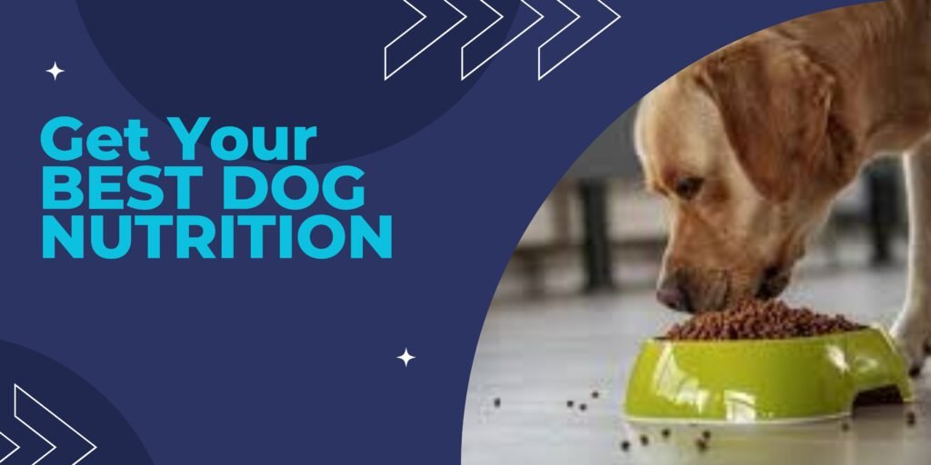 Dog Nutrition